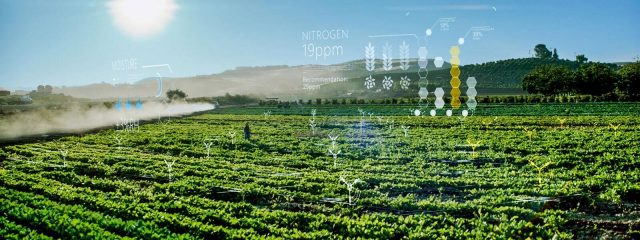Microsoft’s FarmBeats Program